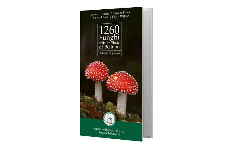 1260 Funghi della Provincia di Belluno